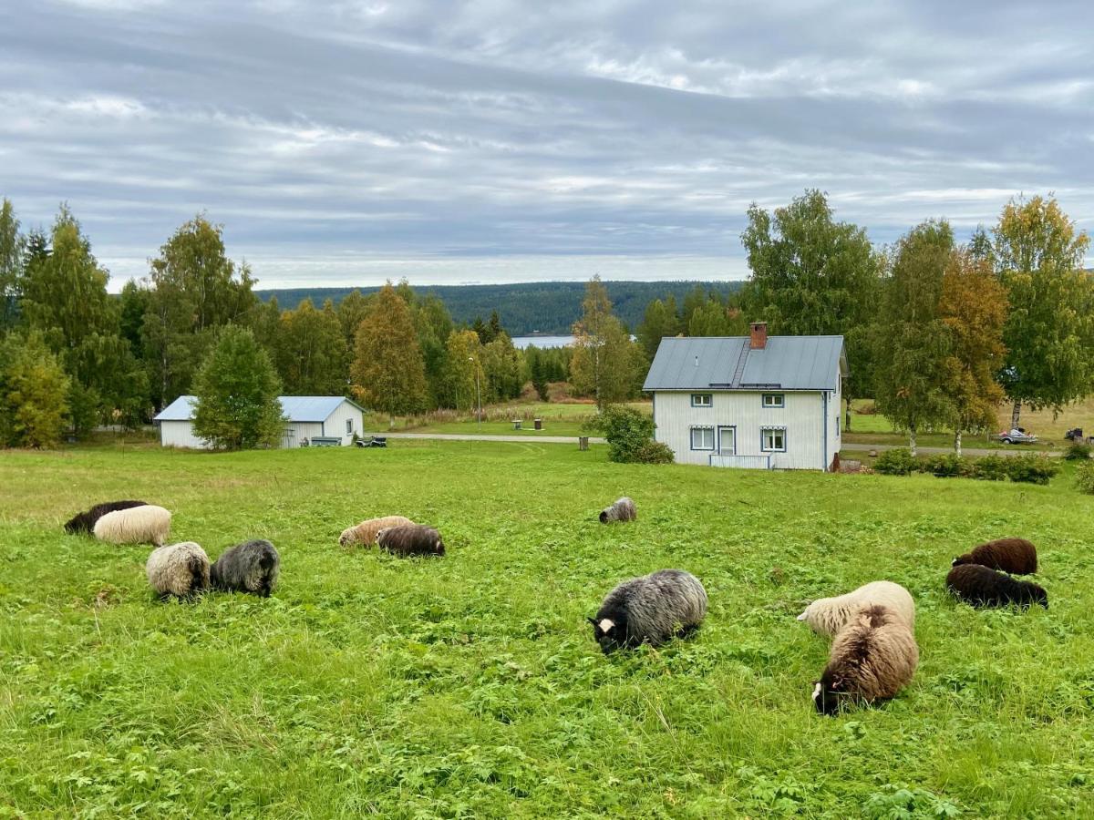Vildmarksgard Lillviken สตรัมซุนด์ ภายนอก รูปภาพ