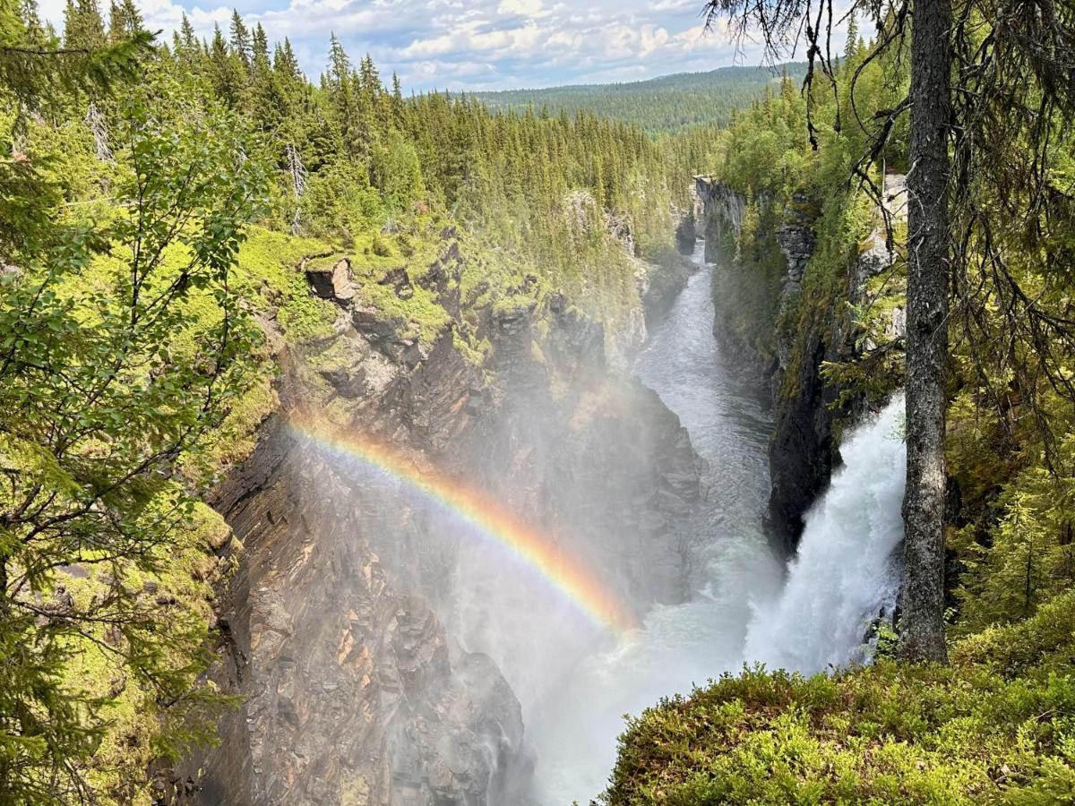 Vildmarksgard Lillviken สตรัมซุนด์ ภายนอก รูปภาพ