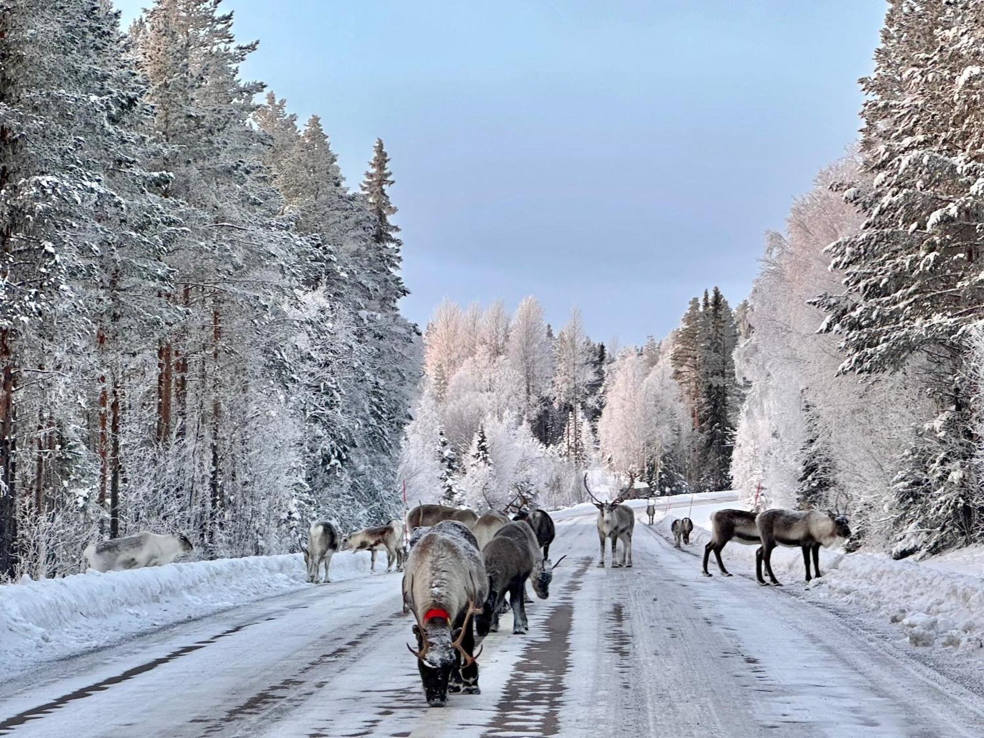 Vildmarksgard Lillviken สตรัมซุนด์ ภายนอก รูปภาพ