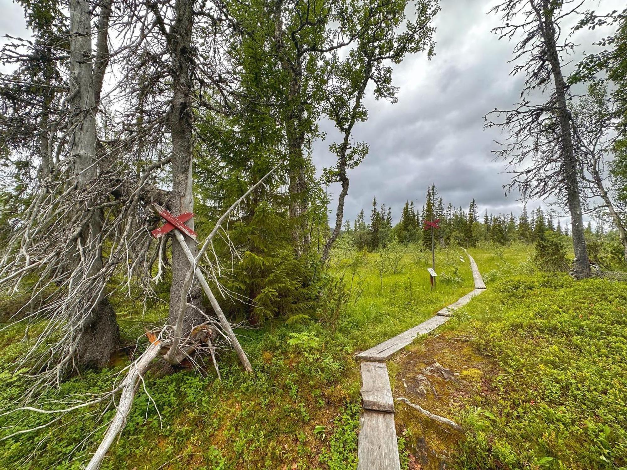 Vildmarksgard Lillviken สตรัมซุนด์ ภายนอก รูปภาพ