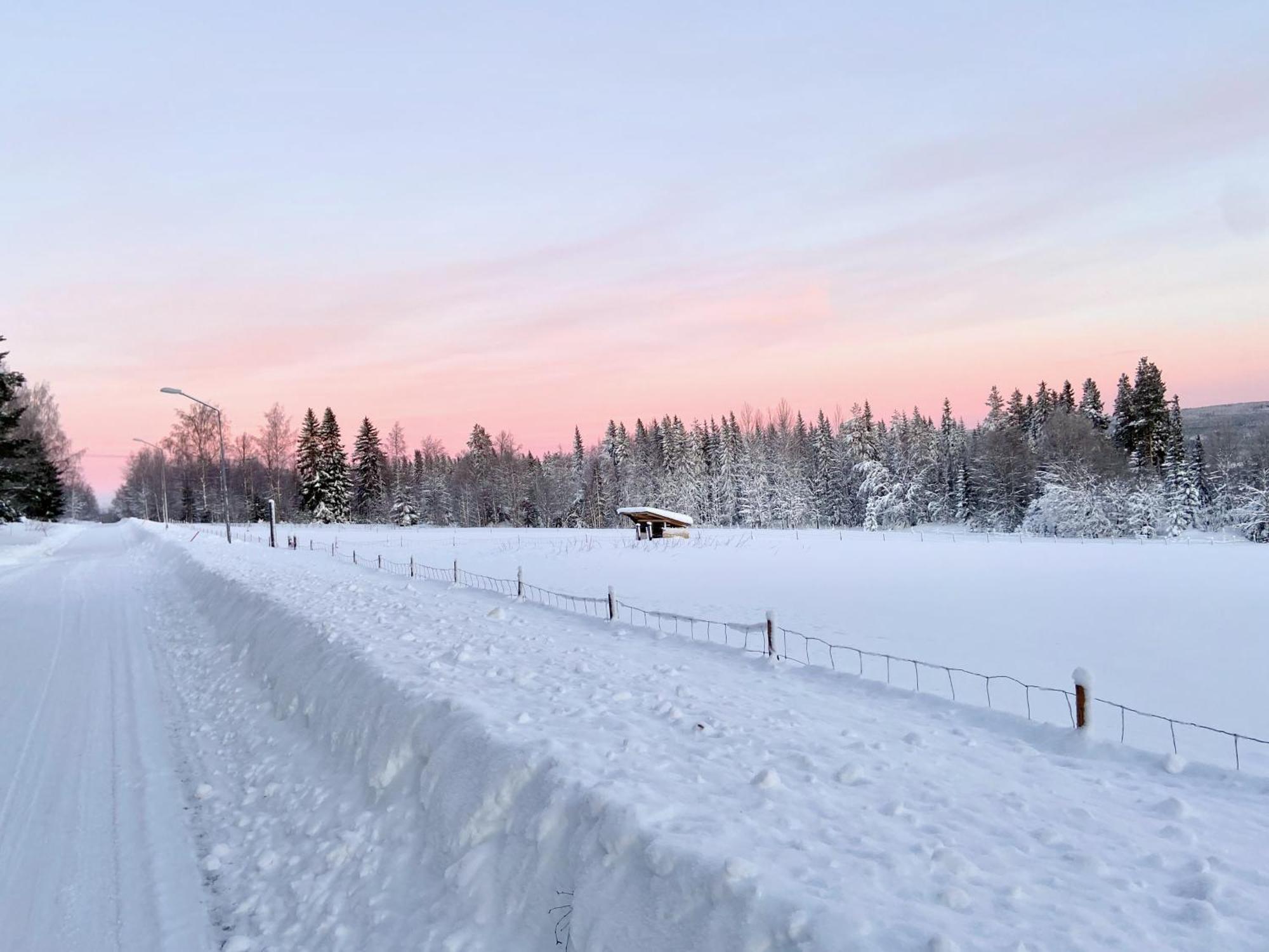 Vildmarksgard Lillviken สตรัมซุนด์ ภายนอก รูปภาพ