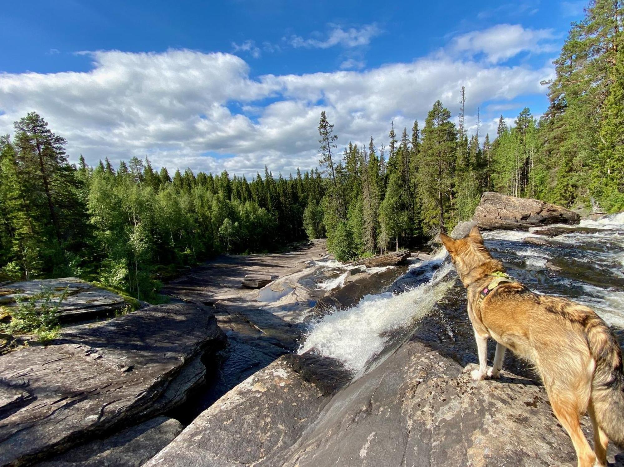 Vildmarksgard Lillviken สตรัมซุนด์ ภายนอก รูปภาพ